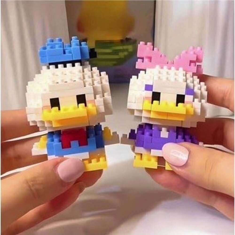 Donald Duck Bricks